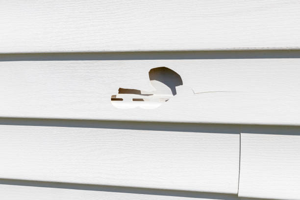 Trusted Ravenna, NE Siding Installation & Repair Experts